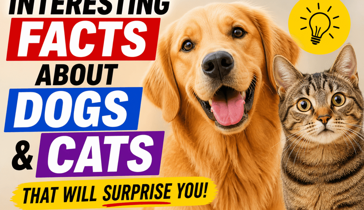 Interesting Facts About Dogs and Cats
