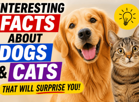 Interesting Facts About Dogs and Cats