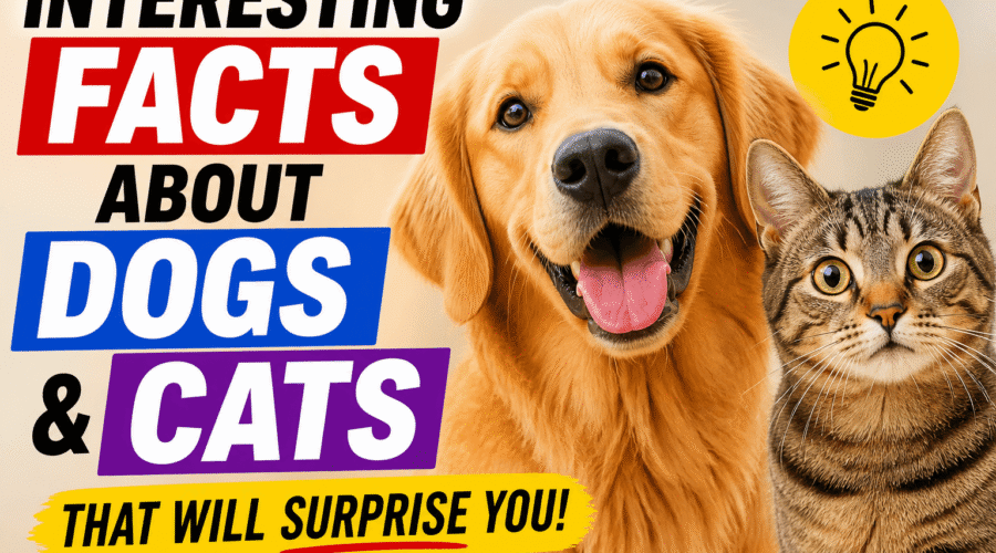 Interesting Facts About Dogs and Cats