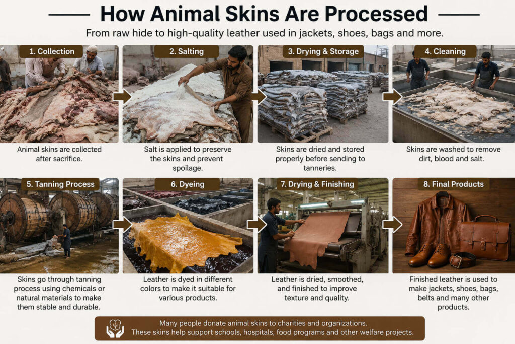 How Animal Skins Are Processed
